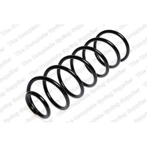 Coil Spring - Rear