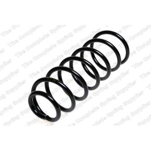 Coil Spring - Rear