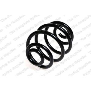 Coil Spring - Rear