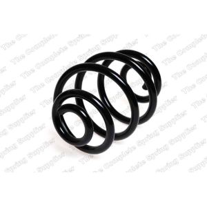 Coil Spring - Rear