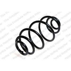 Coil Spring - Rear