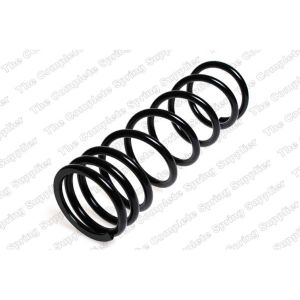 Coil Spring - Rear