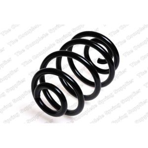 Coil Spring - Rear