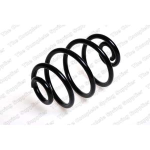 Coil Spring - Rear