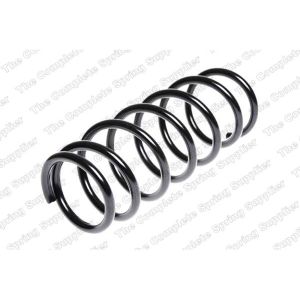 Coil Spring - Rear