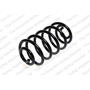 Coil Spring - Rear