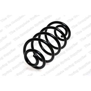 Coil Spring - Rear