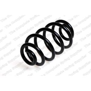 Coil Spring - Rear