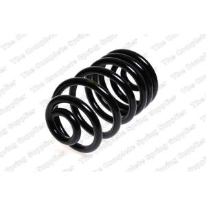 Coil Spring - Rear