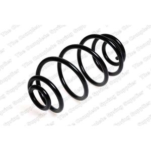 Coil Spring - Rear