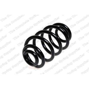 Coil Spring - Rear