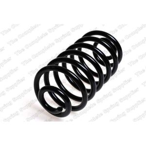 Coil Spring - Rear