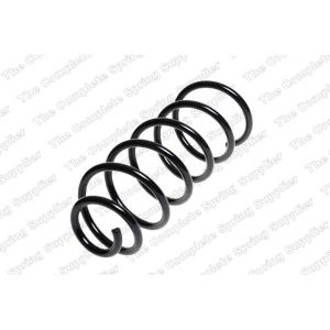 Coil Spring - Rear