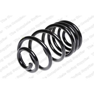 Coil Spring - Rear