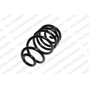 Coil Spring - Rear