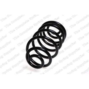 Coil Spring - Rear