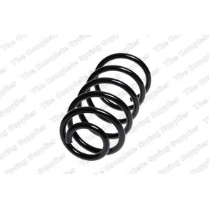 Coil Spring - Rear