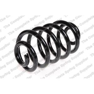 Coil Spring - Rear