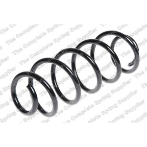 Coil Spring - Rear