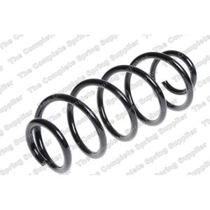 Coil Spring - Rear