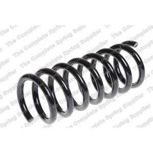 Coil Spring - Rear