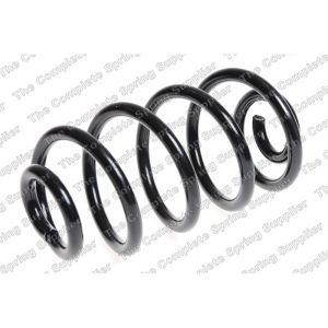 Coil Spring - Rear