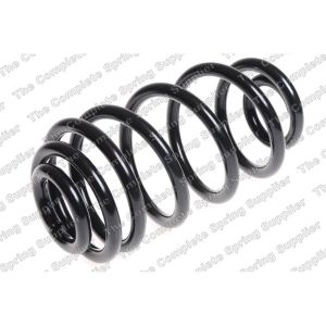 Coil Spring - Rear