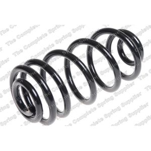 Coil Spring - Rear