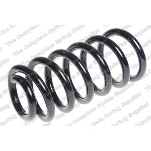 Coil Spring - Rear