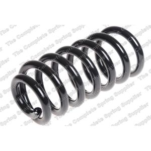 Coil Spring - Rear