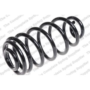 Coil Spring - Rear