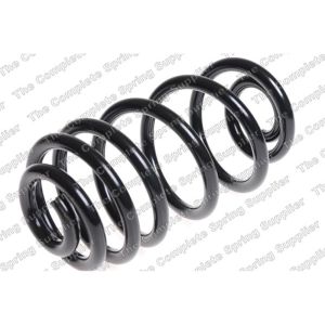 Coil Spring - Rear