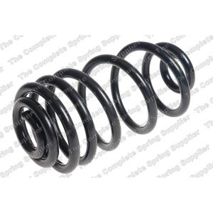 Coil Spring - Rear