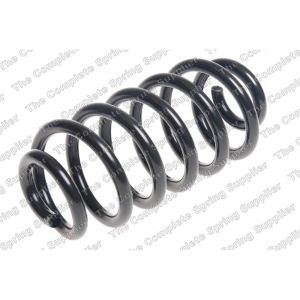 Coil Spring - Rear