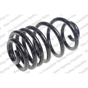 Coil Spring - Rear