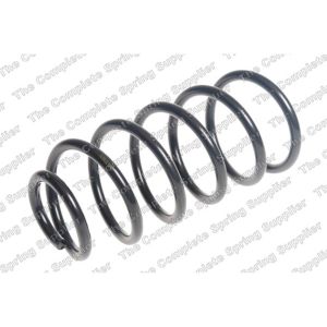 Coil Spring - Rear