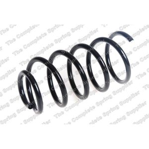 Coil Spring - Rear