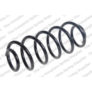 Coil Spring - Rear