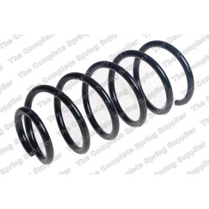 Coil Spring - Rear