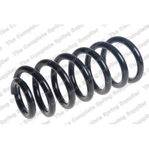 Coil Spring - Rear