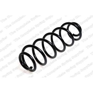 Coil Spring - Rear