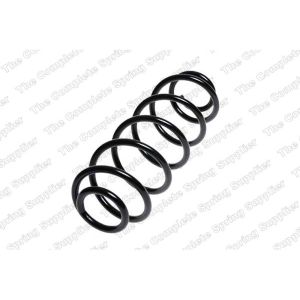 Coil Spring - Rear