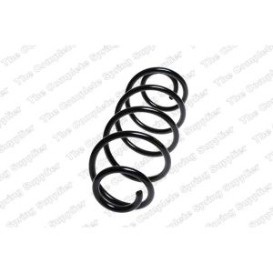 Coil Spring - Rear