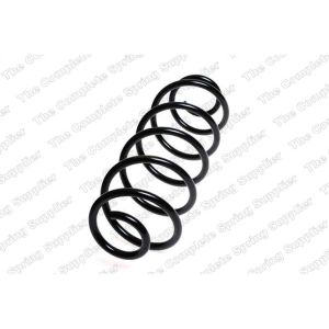 Coil Spring - Rear