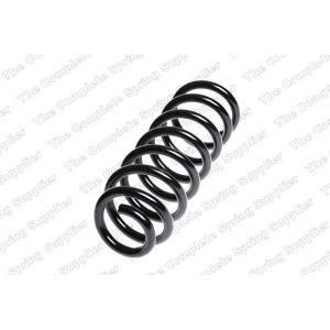 Coil Spring - Rear