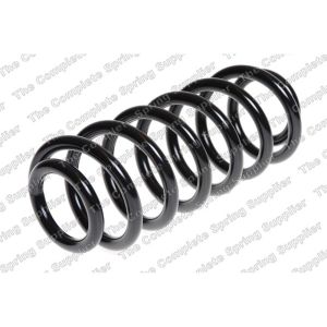 Coil Spring - Rear