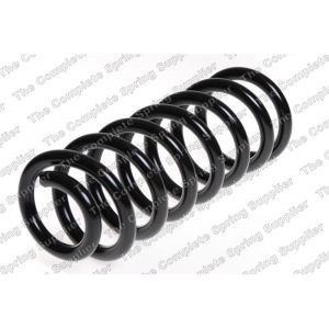 Coil Spring - Rear