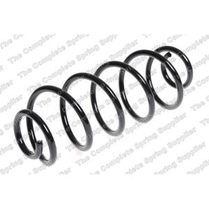 Coil Spring - Rear