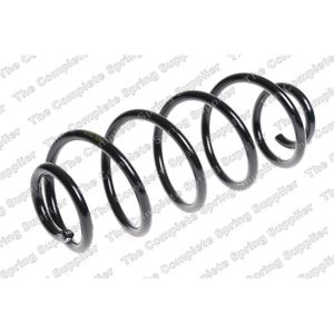 Coil Spring - Rear