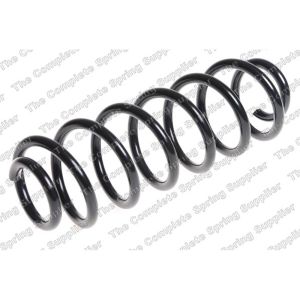 Coil Spring - Rear